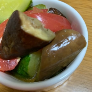 なすトマトきゅうりの麺つゆ浸し レシピ 作り方 By ゆでたまごつるん 楽天レシピ なすトマトきゅうりの麺つゆ浸し レシピ 作り方 By ゆでたまごつるん 楽天レシピ